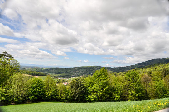 Hügellandschaft am Kulm, Steiermark