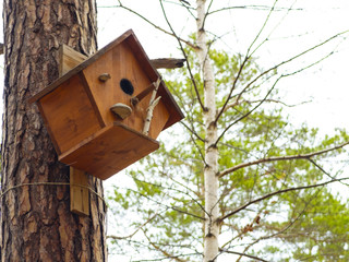 Birdhouse or squirrel tree house in the Park.