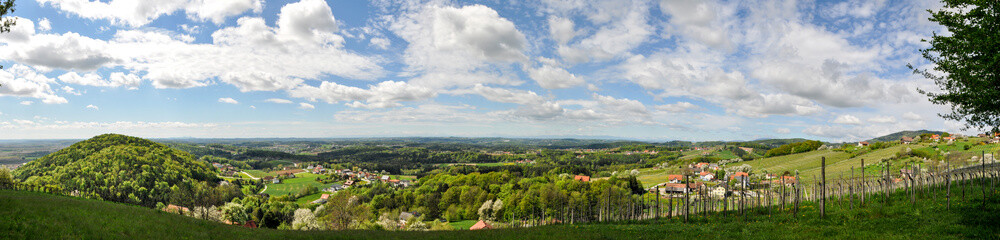 Panoramblick in Ostssteiermark, Weinberg, Pischelsdorf am Kulm