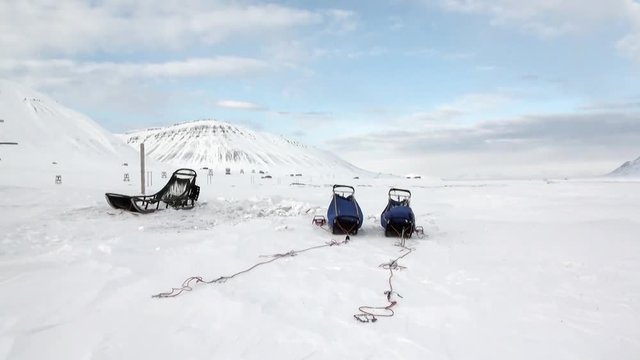 Sled dog team husky Eskimo rest on white snowy road of North Pole in Arctic. Way from Longyearbyen airport Longyear to Pyramiden on Spitsbergen Svalbard in Norway.
