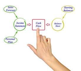 Cash Flow