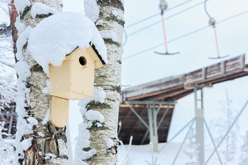 A bird feeder on the background of a ski  elevator in the winter.
