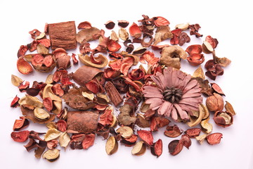 Died Flowers - Isolated in white background