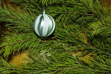 shiny Christmas tree toys on a green pine branch for background, advertising and design