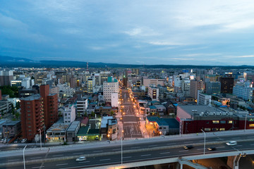 Fototapeta na wymiar アスパム展望台から見る青森市内の風景