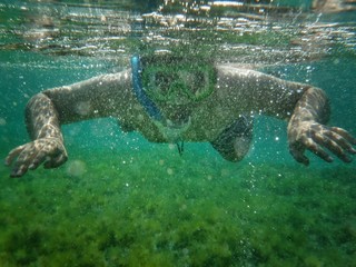ragazzo che fa snorkeling © dabobabo