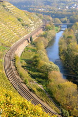 Weinberge bei Besigheim am Neckar