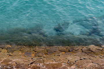 Rock with blue water for background.