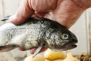 Cook holding a rainbow trout.