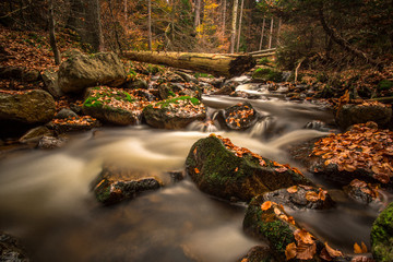 Waterfall in an autumn forest as a time exposure