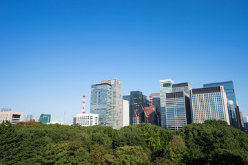 Fototapeta na wymiar 皇居東御苑から見る丸の内方面の風景