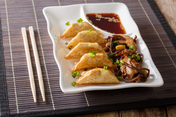 Japan dumplings - Gyoza with meat and shiitake salad and soy sauce close-up. Horizontal