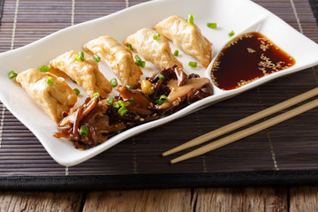 Japanese cuisine: gyoza with salad of seaweed and soy sauce on a plate close-up. horizontal