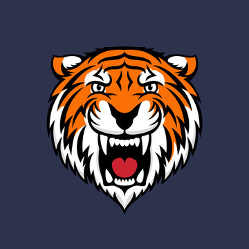 Colorful tiger head logo emblem or icon. Stock vector illustration.