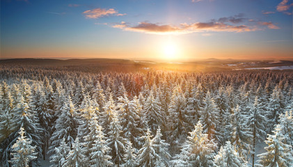 Sonnenuntergang über dem Winterwald