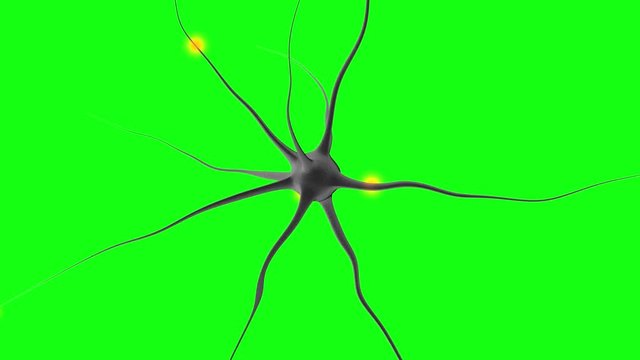 3D rendered Animation of electric Impulses going through a Neuron cell in the brain on a isolated greenscreen background.
