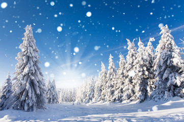 Schneefall im Winterwald