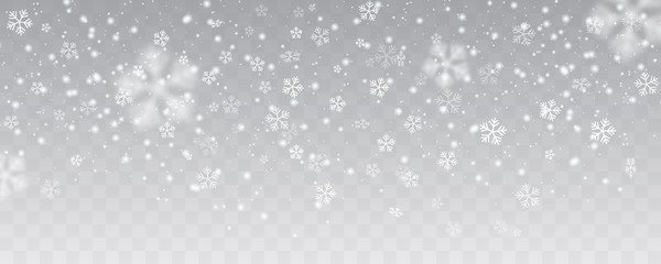 Vector heavy snowfall, snowflakes in different shapes and forms. Many white cold flake elements on transparent background. White snowflakes flying in the air. Snow flakes, snow background. - obrazy, fototapety, plakaty