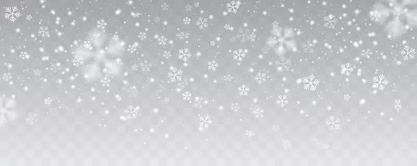 Foto op Aluminium Vector heavy snowfall, snowflakes in different shapes and forms. Many white cold flake elements on transparent background. White snowflakes flying in the air. Snow flakes, snow background. © winvic