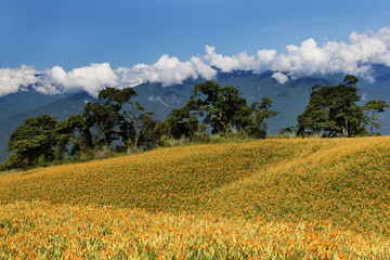 Obraz premium beauty in Taiwan