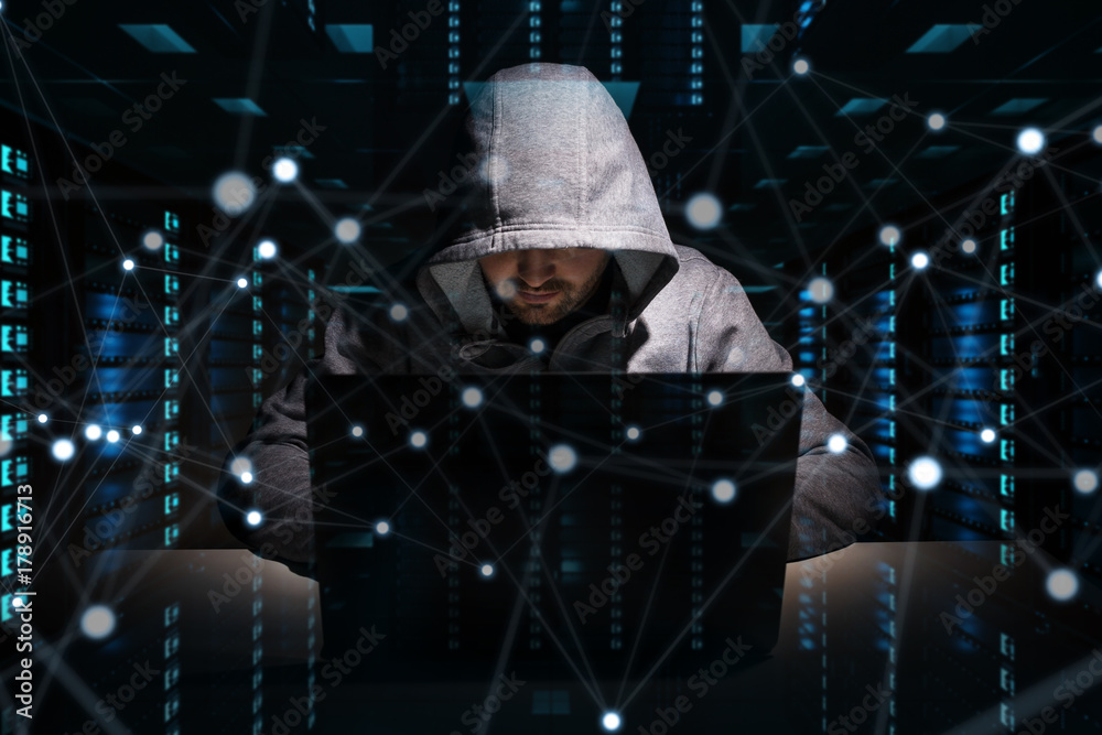 Leinwandbilder Hacker accessing to personal data information with a computer 3D rendering