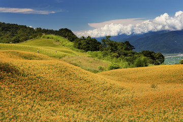 beauty in Taiwan