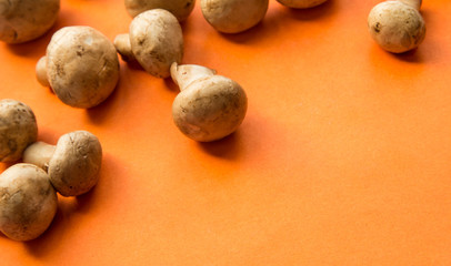 Fresh raw mushrooms on orange background