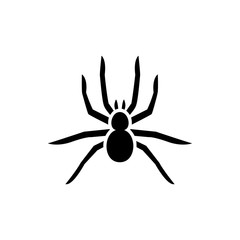 spider icon illustration