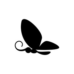 butterfly icon illustration