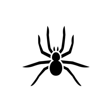 Spider Icon Illustration