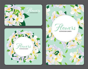 Tropical plumeria flowers on green background. Vector set of blooming floral for wedding invitations and greeting card design.