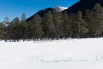 Winter panorama of the mountain with valleys and forest.