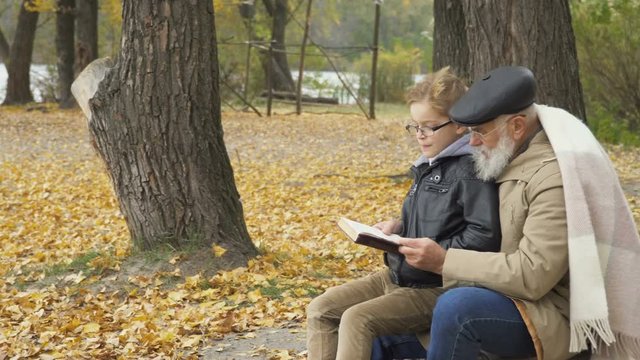 Senior gray-haired man with little boy read the book in autumn park