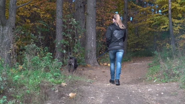 beutiful sportive woman walking with her dog in a woods