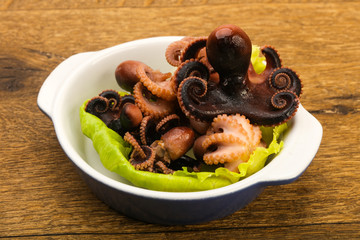 Boiled baby octopuses
