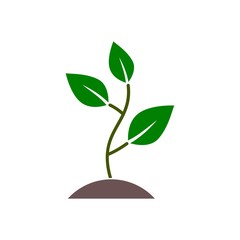 Fototapeta na wymiar Plant sprout, Plant eco logo