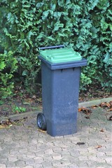 An image of a trashcan with a green cover
