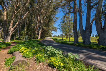 Morro Bay State Park, Morro Bay State Marine Reserve, Los Osos, California, USA