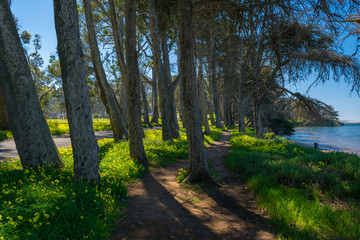 Morro Bay State Park, Morro Bay State Marine Reserve, Los Osos, California, USA