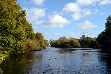 Fototapeta na wymiar St. James' Park in London im Herbst