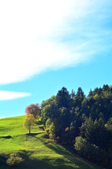 Obraz premium The hill and the autunn colors