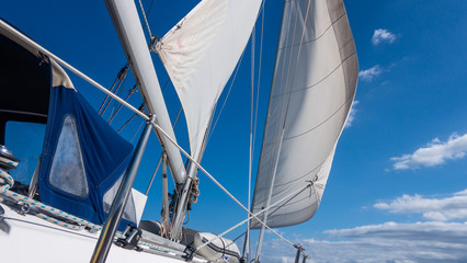 Obraz premium Żeglarstwo