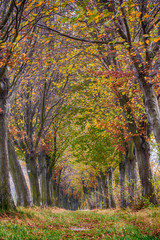 Fototapeta premium colourful tunnel