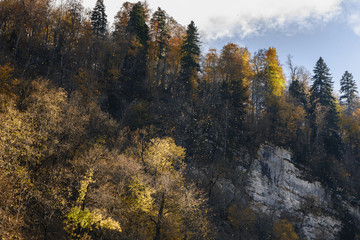 Autumn leaves falls among the mountains under the bright rays of the sun