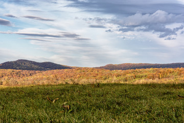 Beautiful sky over  bright autumn forest and field with green grass