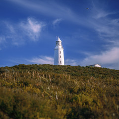 Fototapeta na wymiar View of Bruny Island Lighthouse in Tasmania, Australia.