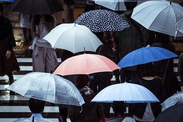 傘を差す人々 横断歩道