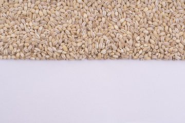barley on a white table	