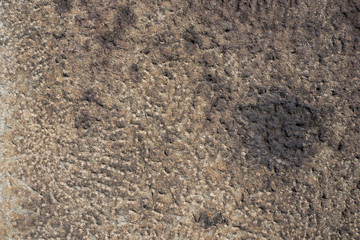 The stone wall texture surface detail image close up