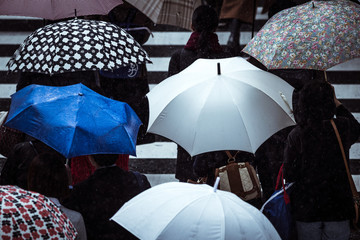 傘を差す人々 横断歩道